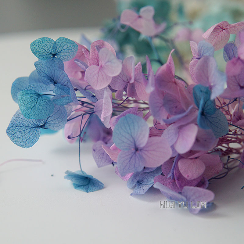 Dried Flower Bulk - Flores Secas Preservadas de Hortênsia em