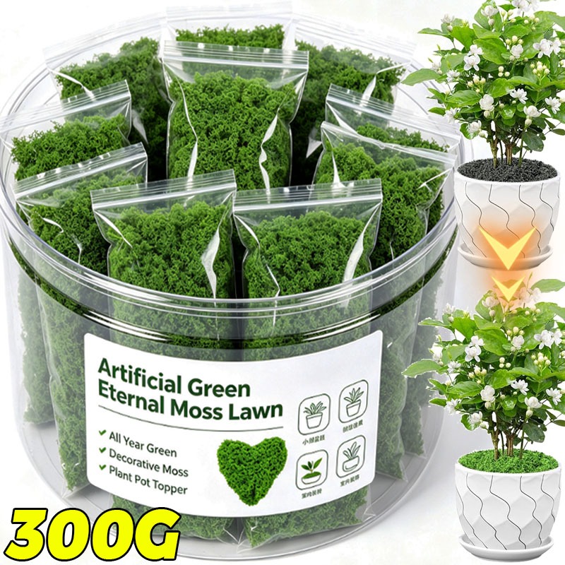 Terrarium Moss Art - Plantas Verdes Artificiais, Musgo de Vida