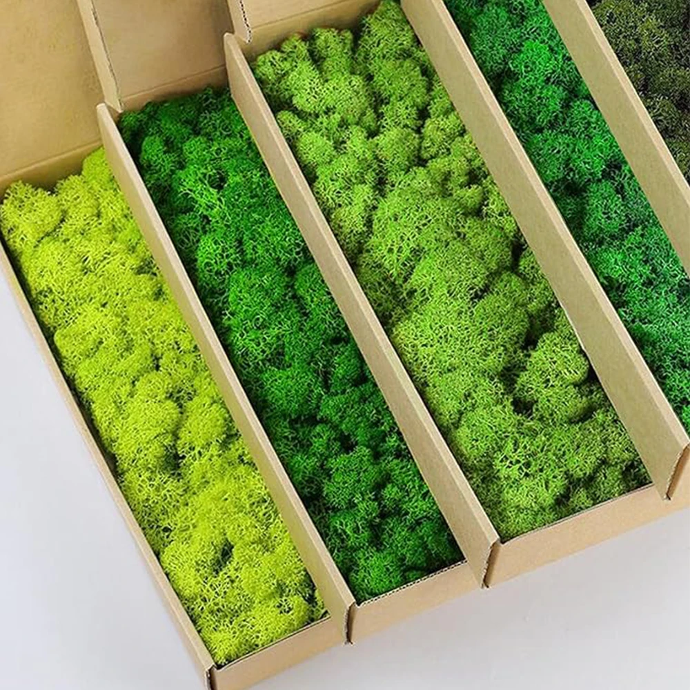 20-200g plantas verdes artific - Terrarium Moss Art avaliação e preço