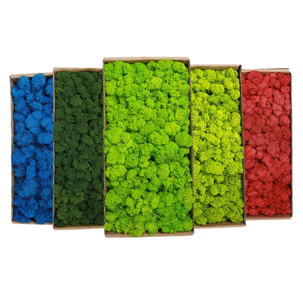 20-200g plantas verdes artific - Terrarium Moss Art avaliação e preço