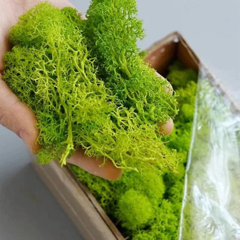 20-200g plantas verdes artific - Terrarium Moss Art avaliação e preço
