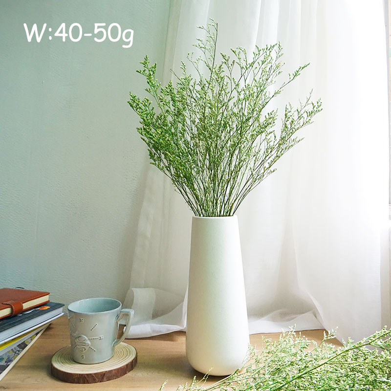 70g/Flor de Limonium Preservad - Dried Flower Bulk avaliação e preço