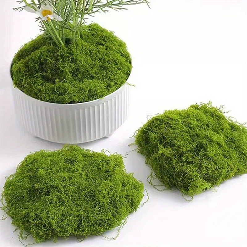Verde falso musgo diy artesana - Terrarium Moss Art avaliação e preço